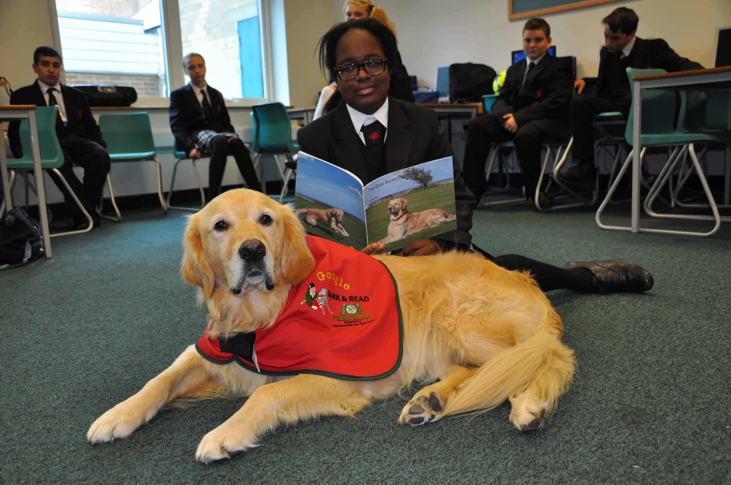 When kids read to dogs their reading and confidence is given a boost. The Kennel Club explains why they train dogs to read in schools to improve child literacy
