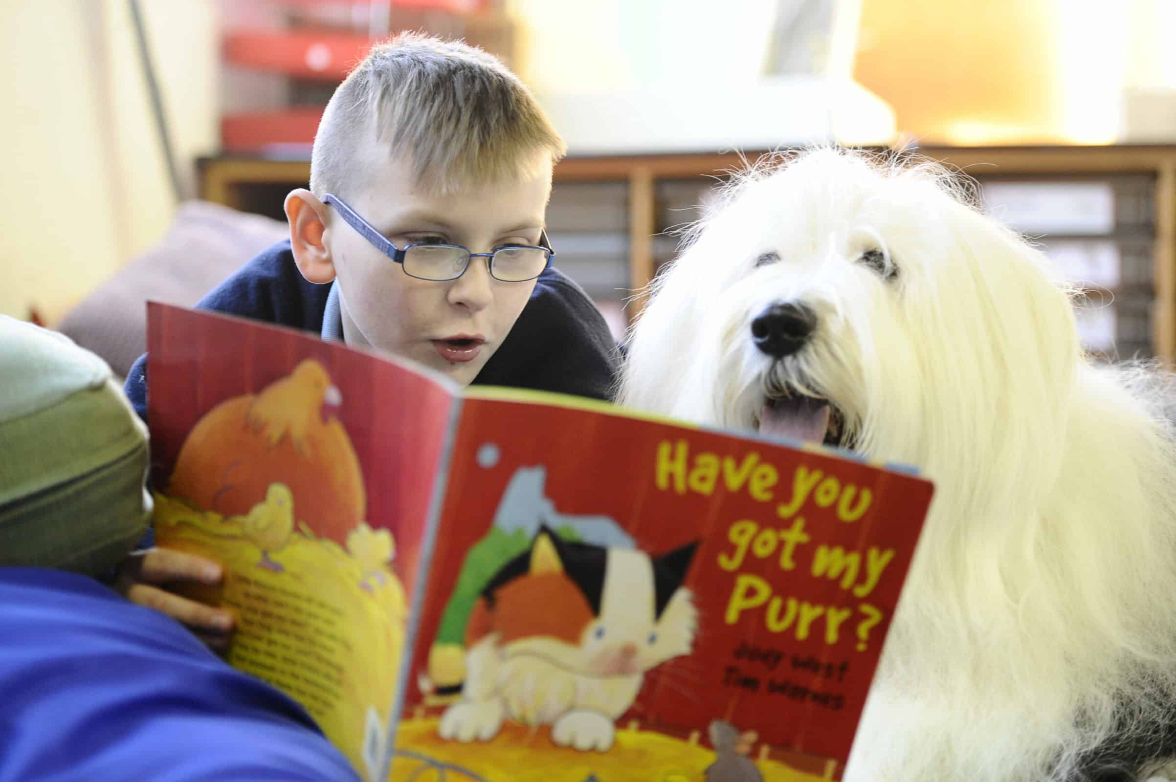 When kids read to dogs their reading and confidence is given a boost. The Kennel Club explains why they train dogs to read in schools to improve child literacy